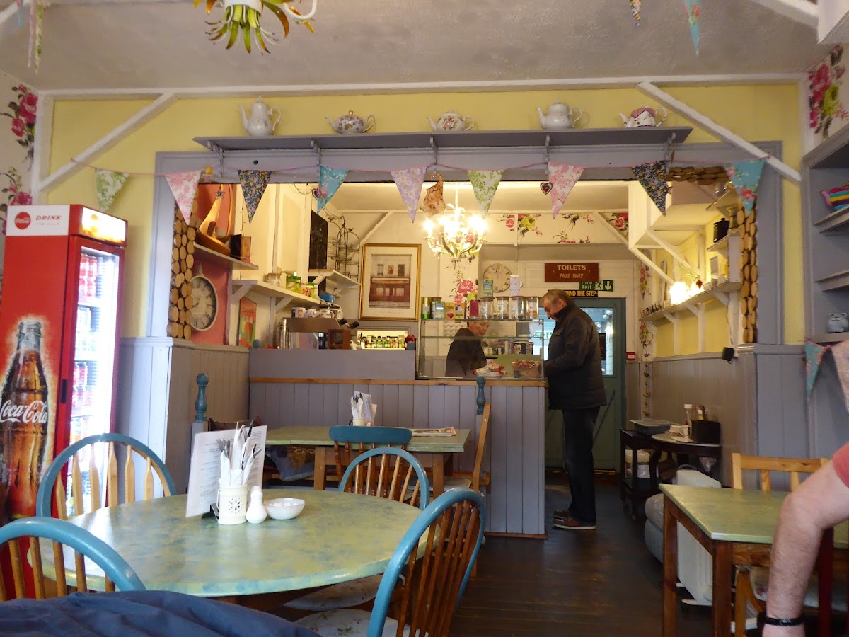 The Wish Cat Cafe Photos 2